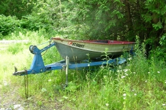DSCN4425 (1)