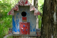 old bird house