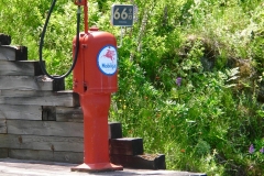 old gas pump