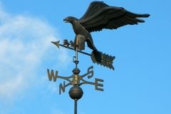 raptor weathervane