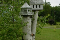 birch bird houses