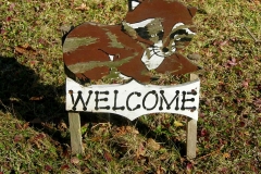 raccoon welcome