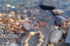 stones at shoreline