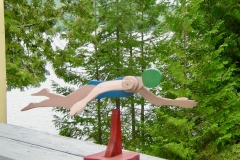 swimming whirligig