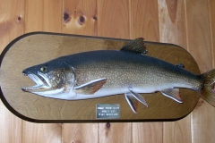 teenies trout
