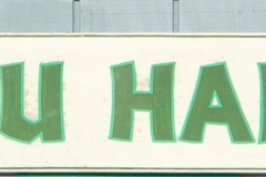 DSCN4843