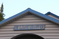 bluebird