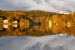 golden and gray