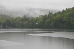 quiet gray rain