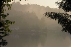 misty view
