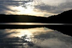 pewter evening