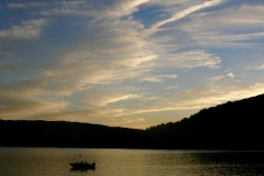 dark fishing