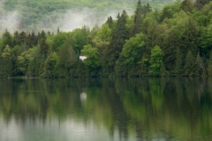 quiet view
