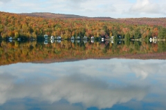 reflections view